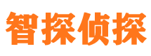 安岳私家侦探